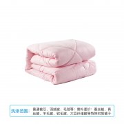 洗衣服务毛毯羽绒被蚕丝被顺丰上门干洗水洗