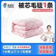 洗衣服务毛毯羽绒被蚕丝被顺丰上门干洗水洗