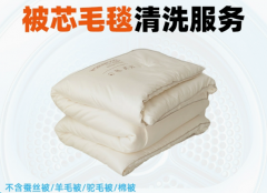 上门取件被芯毛毯清洗在线干洗洗鞋洗衣服务