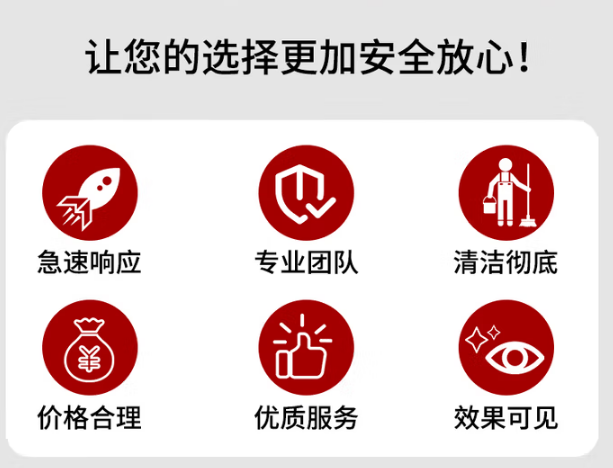 家政布艺沙发清洗 上门服务 床垫清洗 地毯清洗 家政保洁服务